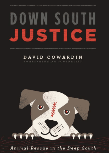 down_south_justice.png