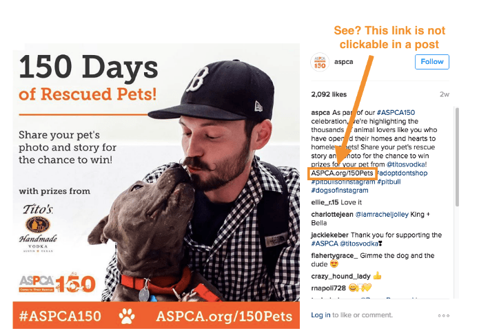 rescued_pets_summary.png