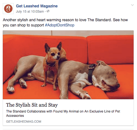 get_leashed_post.png