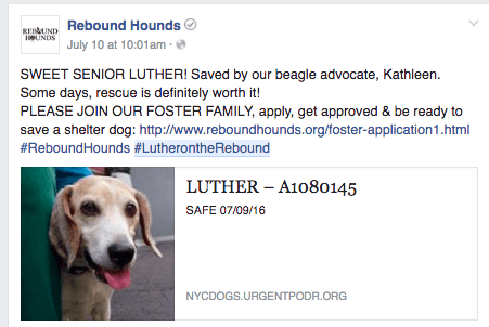 luther_post_1.png
