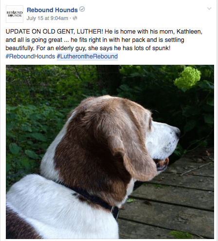 luther_post_2.png