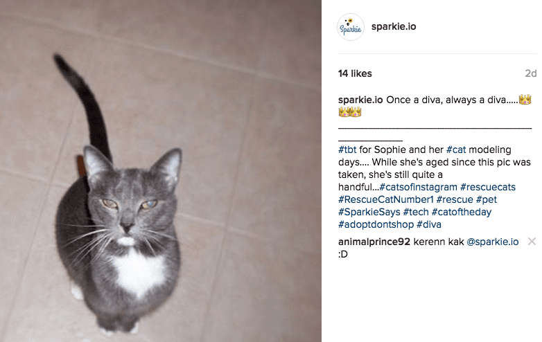 sparkie_instagram.png