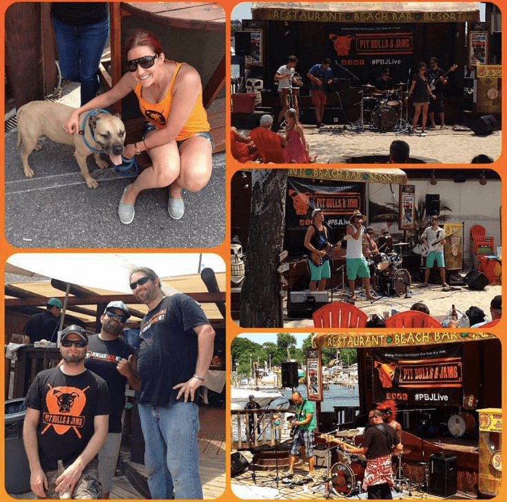 pit_bulls_and_jams_event.png