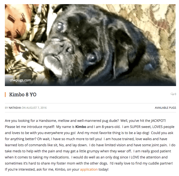 kimbo_profile.png