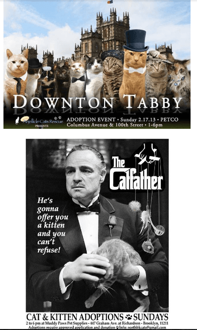 downton_tabby.png