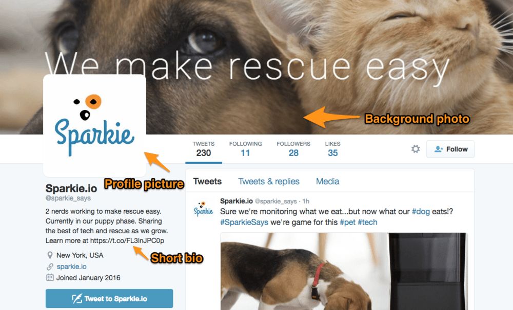twitter_background.png
