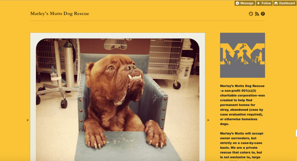marleys_mutts.png