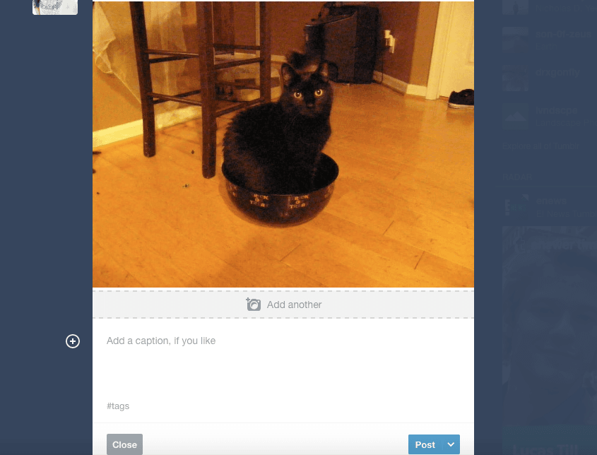tumblr_2.png