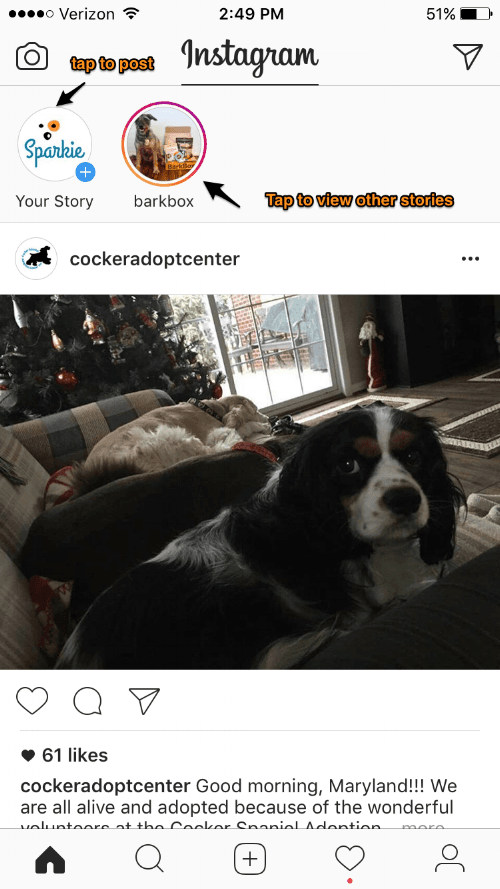instagram_stories.png
