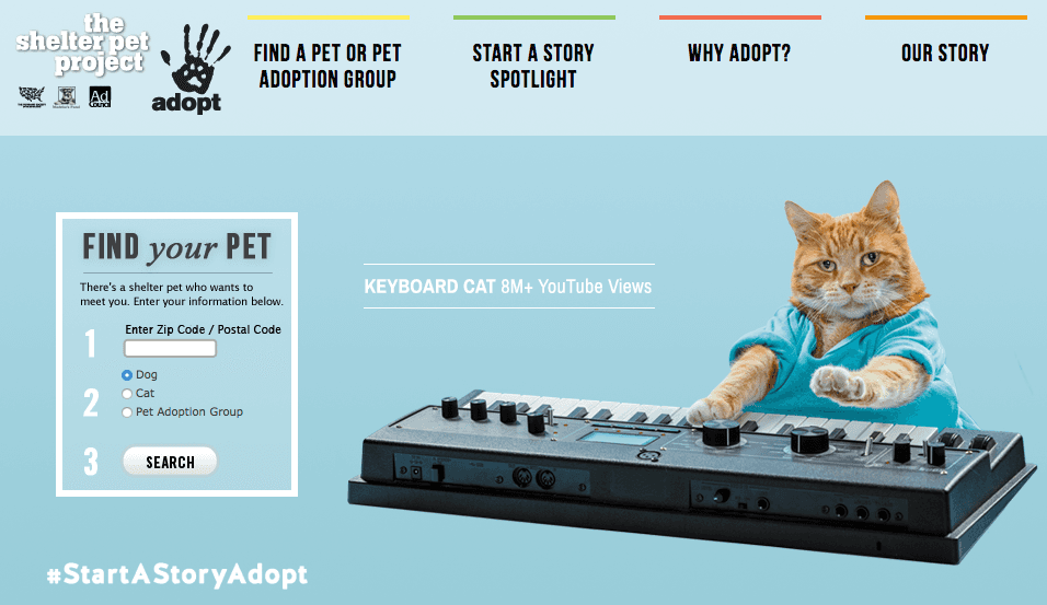 shelter_pet_project.png