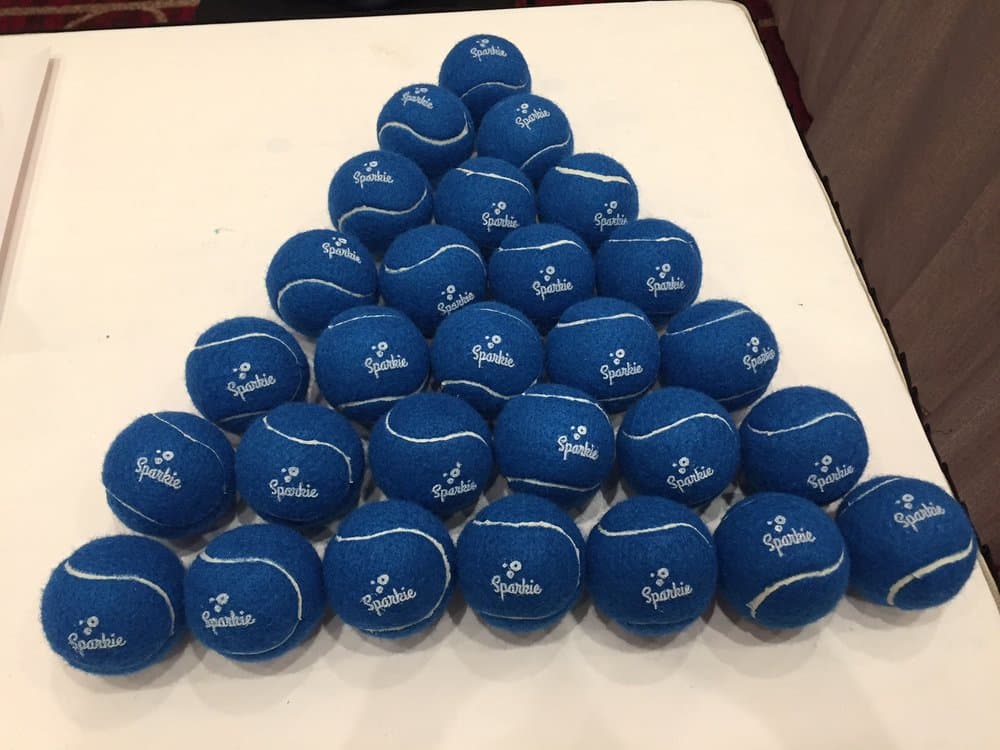 best_friends_tennis_balls.jpeg