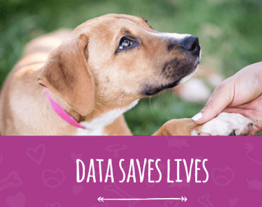data_saves_lives.png